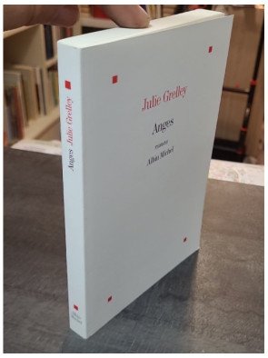 Anges - Un roman sombre et violent par Julie Grelley - Quête d'absolu et de pureté