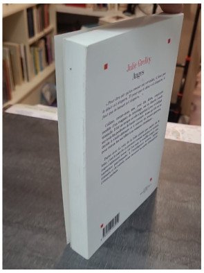Anges - Un roman sombre et violent par Julie Grelley - Quête d'absolu et de pureté