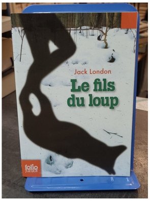 Le Fils Du Loup - Jack London - Aventure et amour dans le Grand Nord canadien
