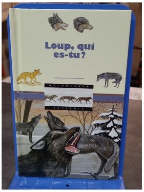 Loup, qui es-tu ? - Laura Bour - Découvrez le monde fascinant du loup pour enfants