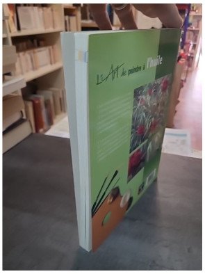 L'art de peindre à l'huile : guide pratique et créatif pour les artistes - Patricia Monahan