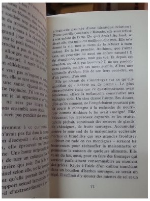 L'Insoumise de l'Esterel : L'incroyable histoire de Nanette Escartefigue par Michel Gardère