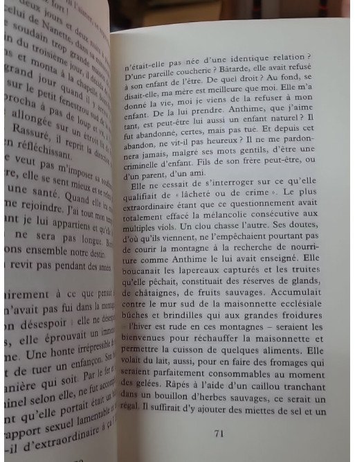 L'Insoumise de l'Esterel : L'incroyable histoire de Nanette Escartefigue par Michel Gardère