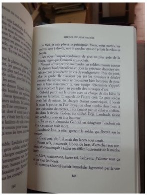 Miroir de nos peines par Pierre Lemaitre - Le grand roman de la France en 1940
