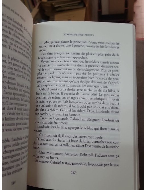 Miroir de nos peines par Pierre Lemaitre - Le grand roman de la France en 1940