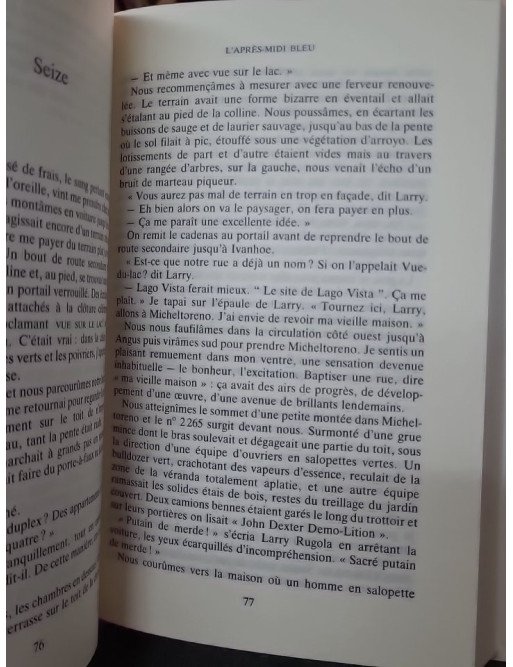 L'après-Midi Bleu par William Boyd - Un roman captivant de l'auteur acclamé