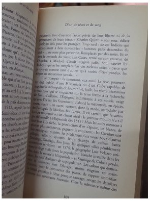 D'or, de rêves et de sang - L'épopée de la flibuste 1494-1588 de Michel Le Bris