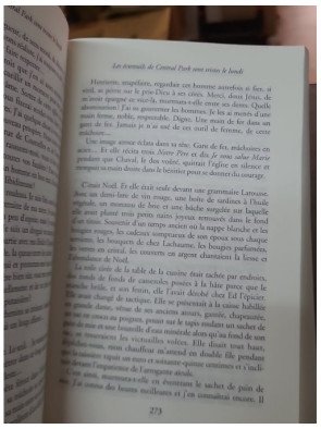 Les Écureuils de Central Park sont tristes le lundi par Katherine Pancol : Une suite captivante et pleine d'humour