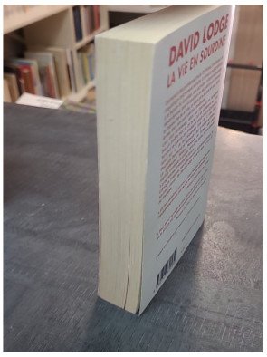 La vie en sourdine par David Lodge : Une tragi-comédie autobiographique sur la vieillesse et la surdité