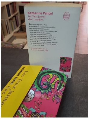 Les Yeux jaunes des crocodiles par Katherine Pancol : un best-seller sur l'amour, l'amitié et la trahison