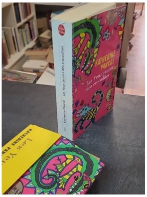 Les Yeux jaunes des crocodiles par Katherine Pancol : un best-seller sur l'amour, l'amitié et la trahison