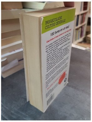 100 Livres En Un Seul : Résumé et Analyse des grands classiques par Marianne Arnould et Jean-François Coremans
