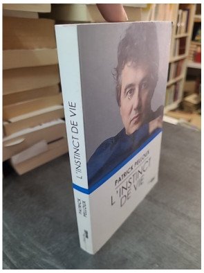 L'instinct de vie par Patrick Pelloux : un chemin de reconstruction après le drame