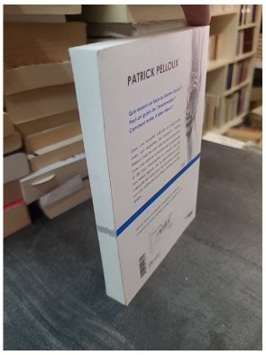 L'instinct de vie par Patrick Pelloux : un chemin de reconstruction après le drame