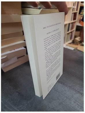 Meursault, contre-enquête de Kamel Daoud : la réponse à L'Étranger de Camus