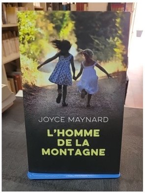 L'homme de la montagne de Joyce Maynard : un thriller sur fond de drame familial