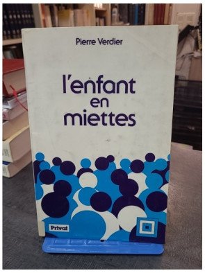 L'enfant en miettes par Pierre Verdier : L'aide sociale à l'enfance, bilan et perspectives d'avenir