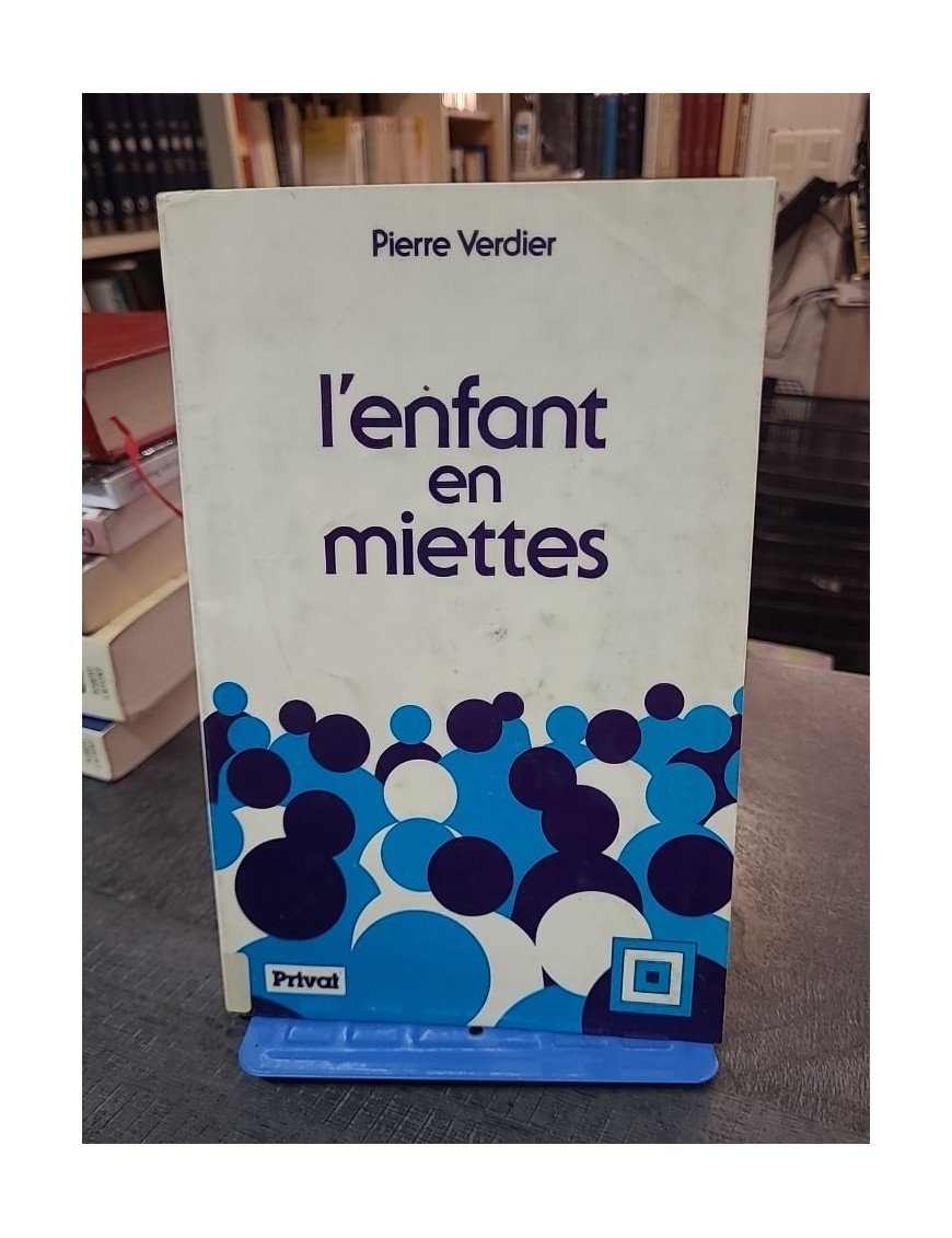 L'enfant en miettes par Pierre Verdier : L'aide sociale à l'enfance, bilan et perspectives d'avenir