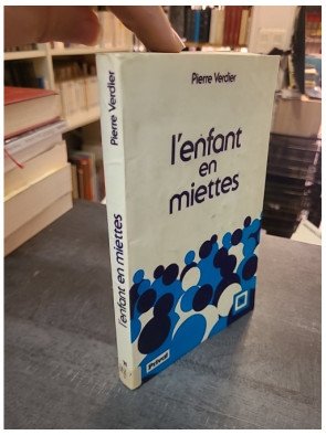 L'enfant en miettes par Pierre Verdier : L'aide sociale à l'enfance, bilan et perspectives d'avenir