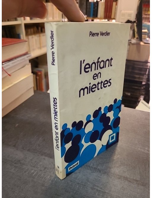 L'enfant en miettes par Pierre Verdier : L'aide sociale à l'enfance, bilan et perspectives d'avenir