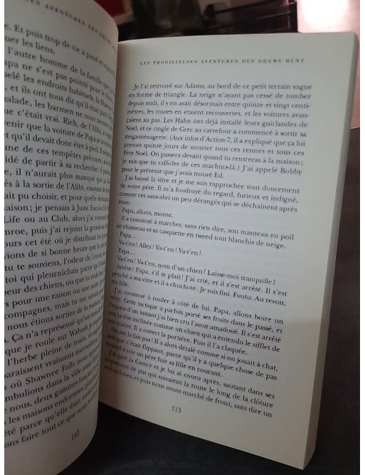 Les prodigieuses aventures des soeurs Hunt d'Elisabeth Robinson : un roman sur l'amour fraternel