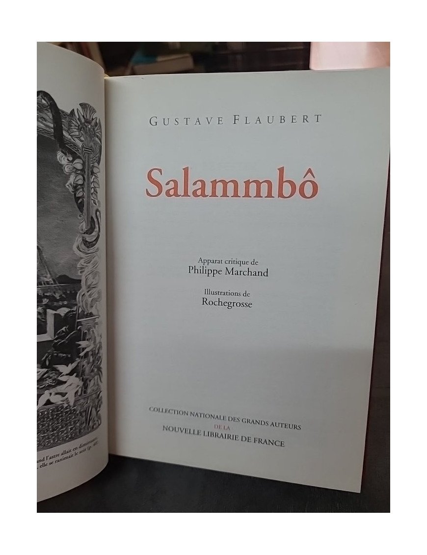 Salammbô de Gustave Flaubert : un roman historique et poétique de la littérature classique