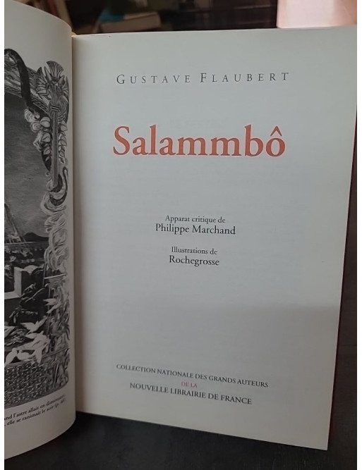 Salammbô de Gustave Flaubert : un roman historique et poétique de la littérature classique