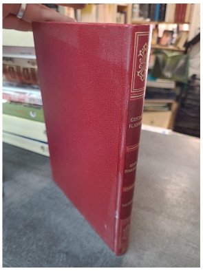 Salammbô de Gustave Flaubert : un roman historique et poétique de la littérature classique