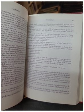 Salammbô de Gustave Flaubert : un roman historique et poétique de la littérature classique