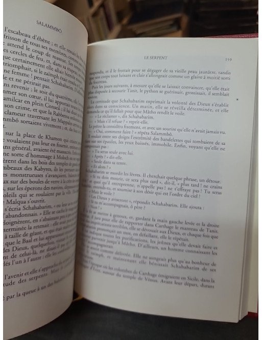 Salammbô de Gustave Flaubert : un roman historique et poétique de la littérature classique