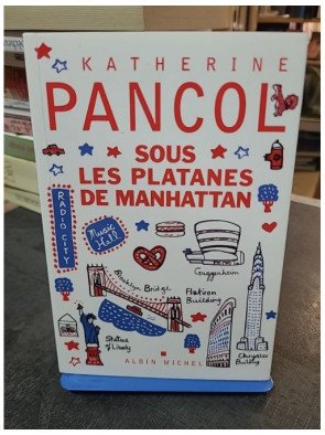 Sous les platanes de Manhattan de Katherine Pancol : une histoire d'amour intime avec New York