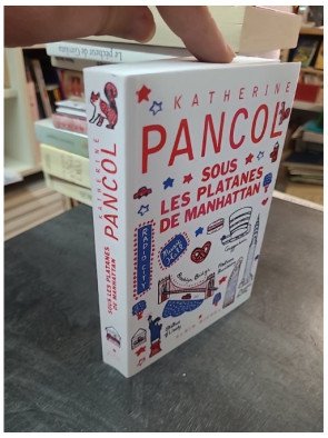 Sous les platanes de Manhattan de Katherine Pancol : une histoire d'amour intime avec New York