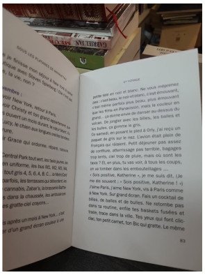 Sous les platanes de Manhattan de Katherine Pancol : une histoire d'amour intime avec New York