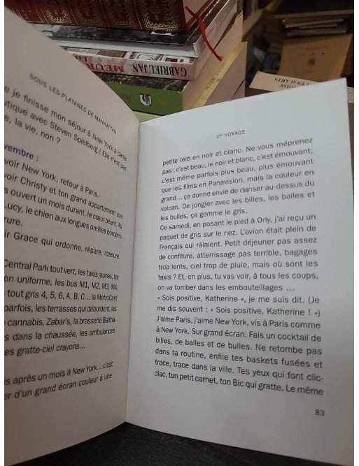 Sous les platanes de Manhattan de Katherine Pancol : une histoire d'amour intime avec New York