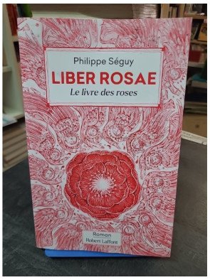 Liber Rosae - Le Livre des roses de Philippe Séguy : une épopée historique au XIIIe siècle