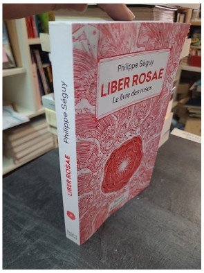 Liber Rosae - Le Livre des roses de Philippe Séguy : une épopée historique au XIIIe siècle