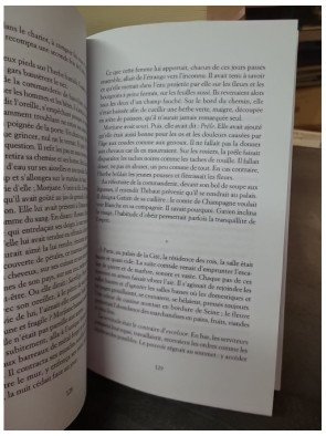 Liber Rosae - Le Livre des roses de Philippe Séguy : une épopée historique au XIIIe siècle