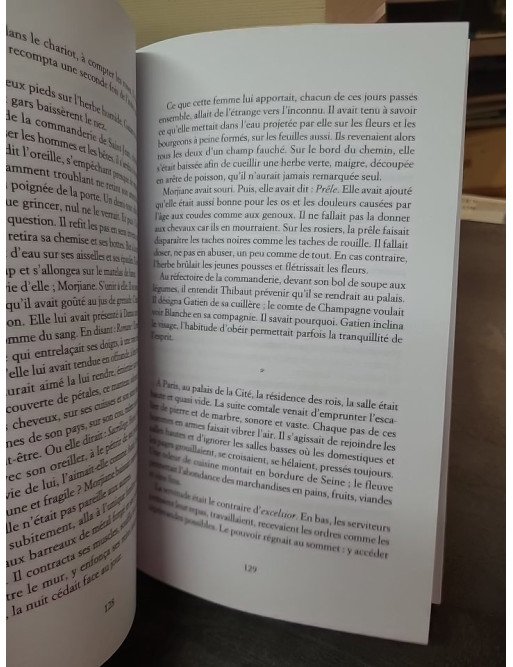 Liber Rosae - Le Livre des roses de Philippe Séguy : une épopée historique au XIIIe siècle
