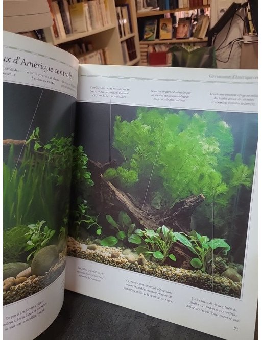 L'aménagement d'un aquarium : S'inspirer de la nature par Peter Hiscock