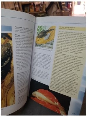 Poissons Tropicaux D'Eau Douce : guide d'aquariophilie par Gelsomina Parisse
