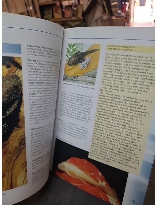 Poissons Tropicaux D'Eau Douce : guide d'aquariophilie par Gelsomina Parisse