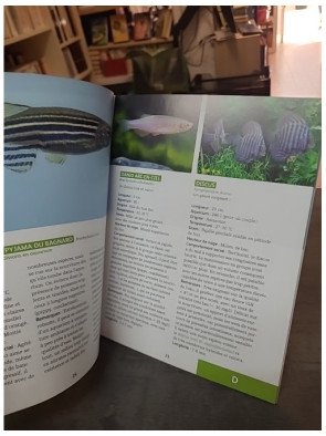 80 Poissons Exotiques : les meilleures espèces pour aquarium d'eau douce par Renaud Lacroix