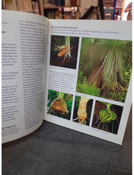 Aquarium, Les Plantes : guide pour un jardin aquatique luxuriant par I Scheurmann