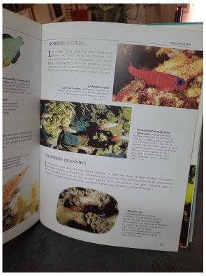 Le Grand Guide de l'Aquarium par Thierry Maître-Allain : construire, aménager et entretenir