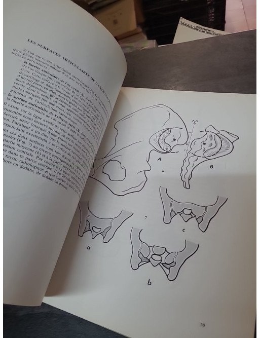 Physiologie Articulaire : Tronc, Rachis et Tête (Fascicule 3) par I.A. Kapandji