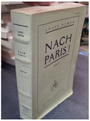 Nach Paris! par Louis Dumur : Plongez au coeur de ce roman historique