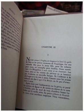 Graziella par Alphonse de Lamartine : un classique de la littérature française