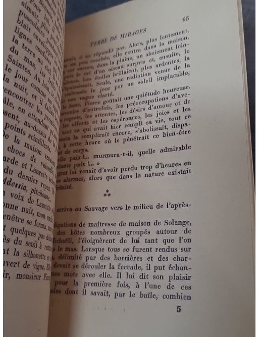 Terre de mirages par Annie Achard : Un roman des années 50