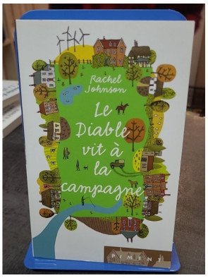 Le diable vit à la campagne par Rachel Johnson : Un roman plein d'humour et de rebondissements