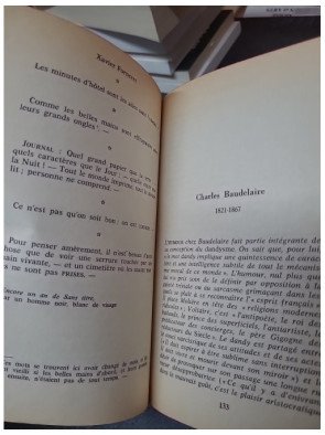 Anthologie de L'humour Noir par André Breton : L'oeuvre subversive du surréalisme